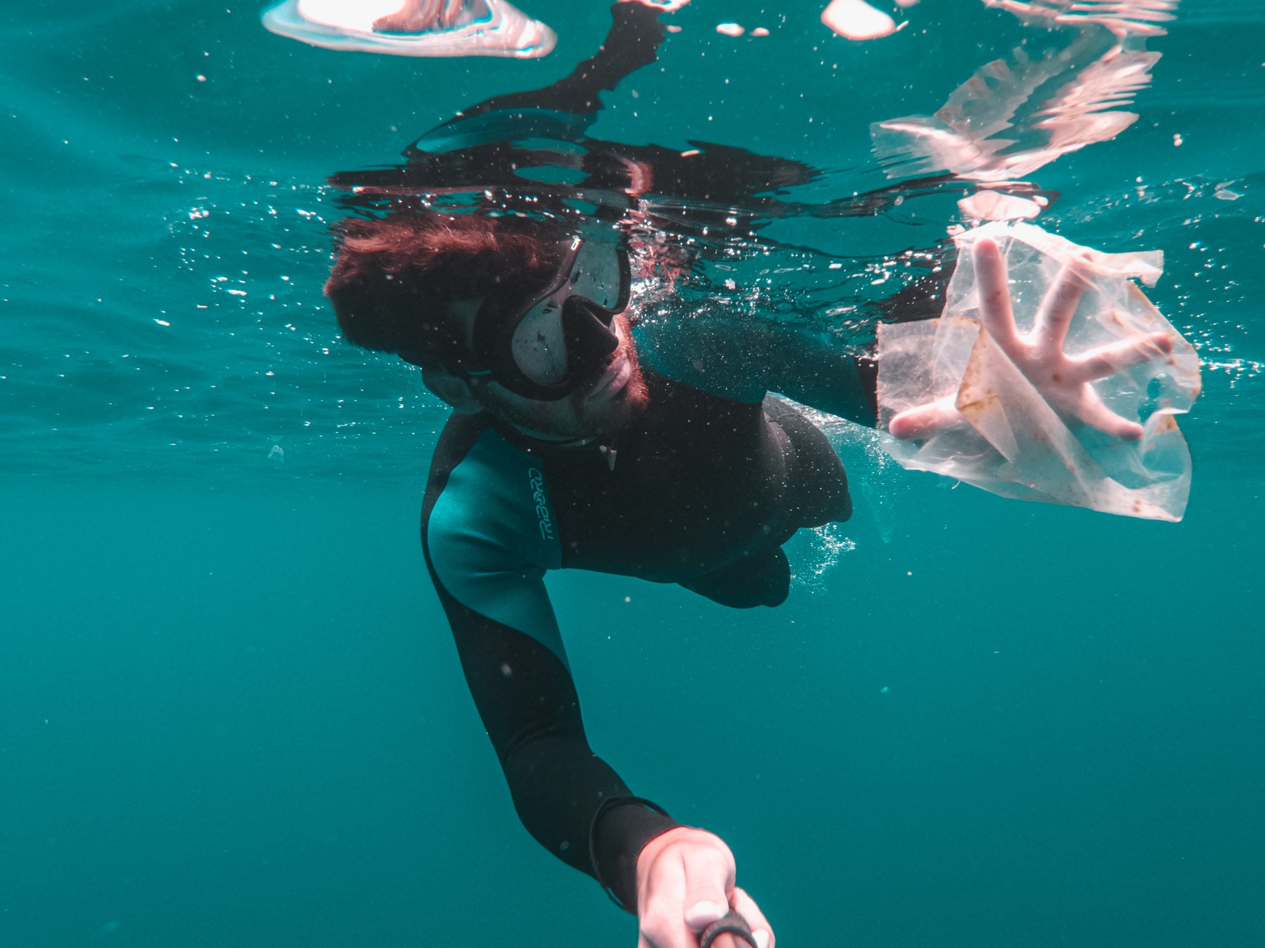 plastic is everywhere the impact