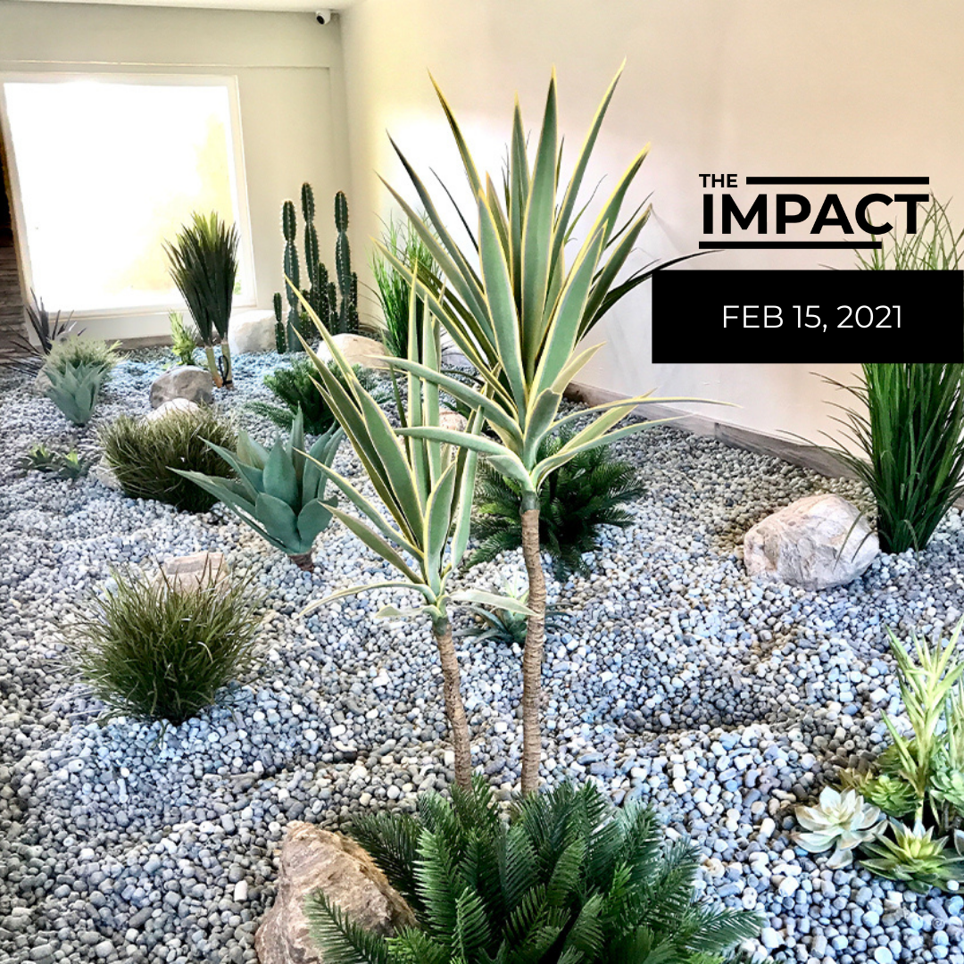 The Impact Feb 15 2021