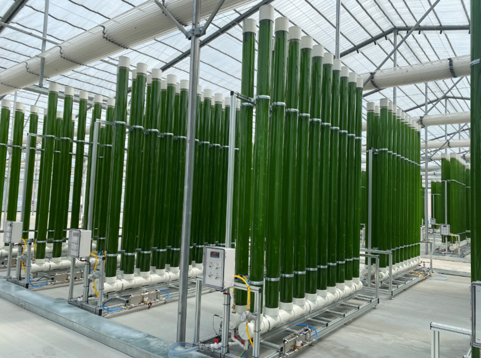 TrueAlgae’s production facility. (Image: TrueAlgae)