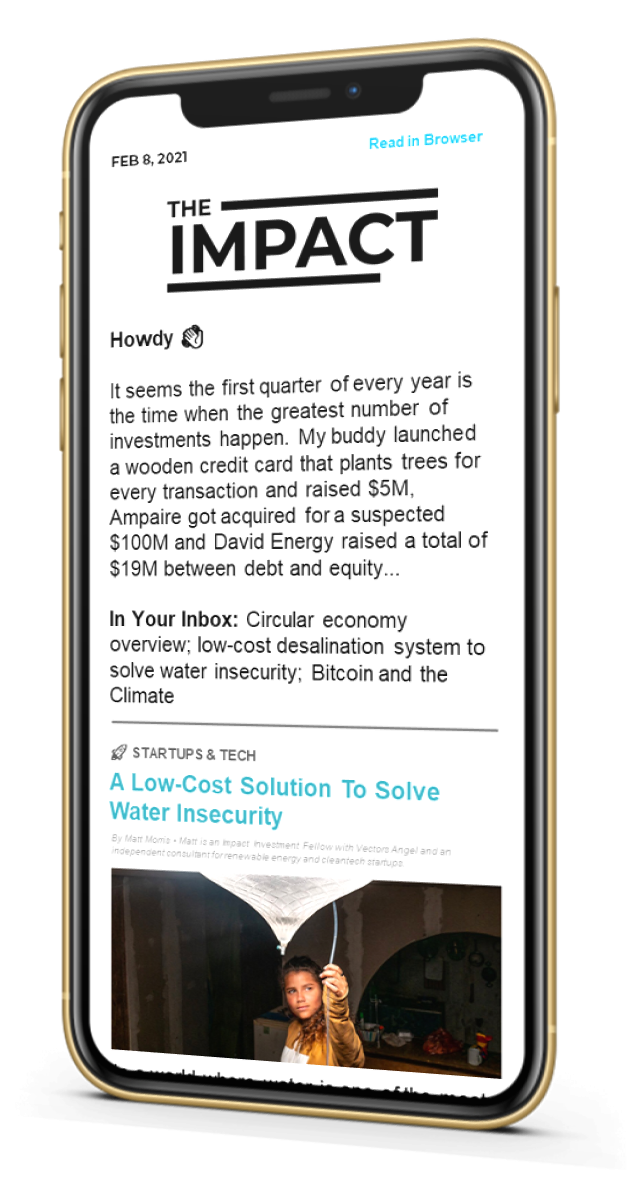 The Impact Newsletter Snippet