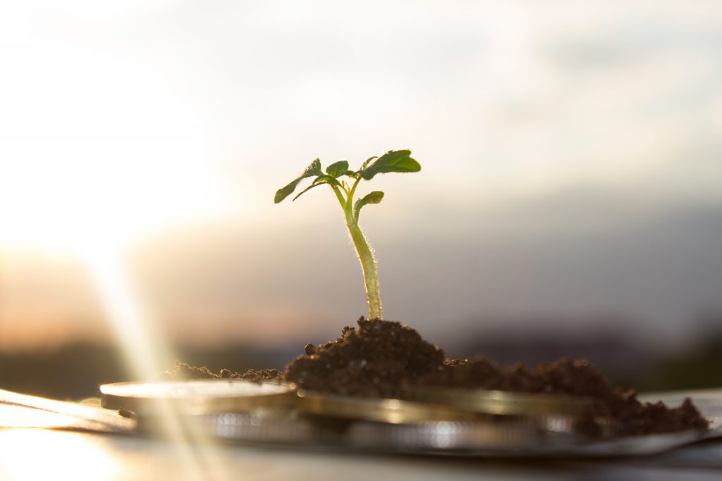 What is the true value of a climate normalizing technology. (Image: Sophia)