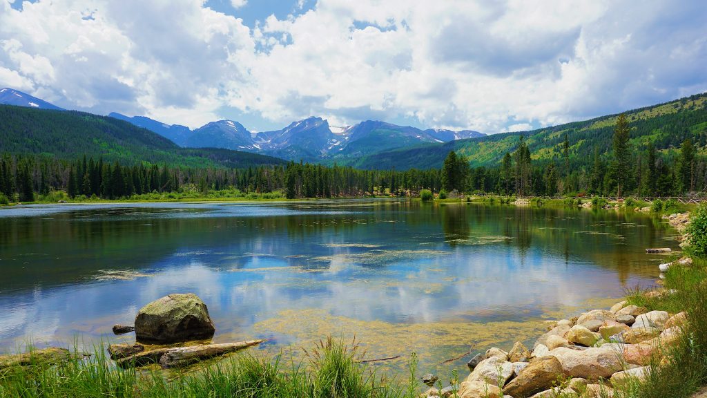 Leveraging underground trenches to mitigate water loss due to evaporation. (Image: Lauren)