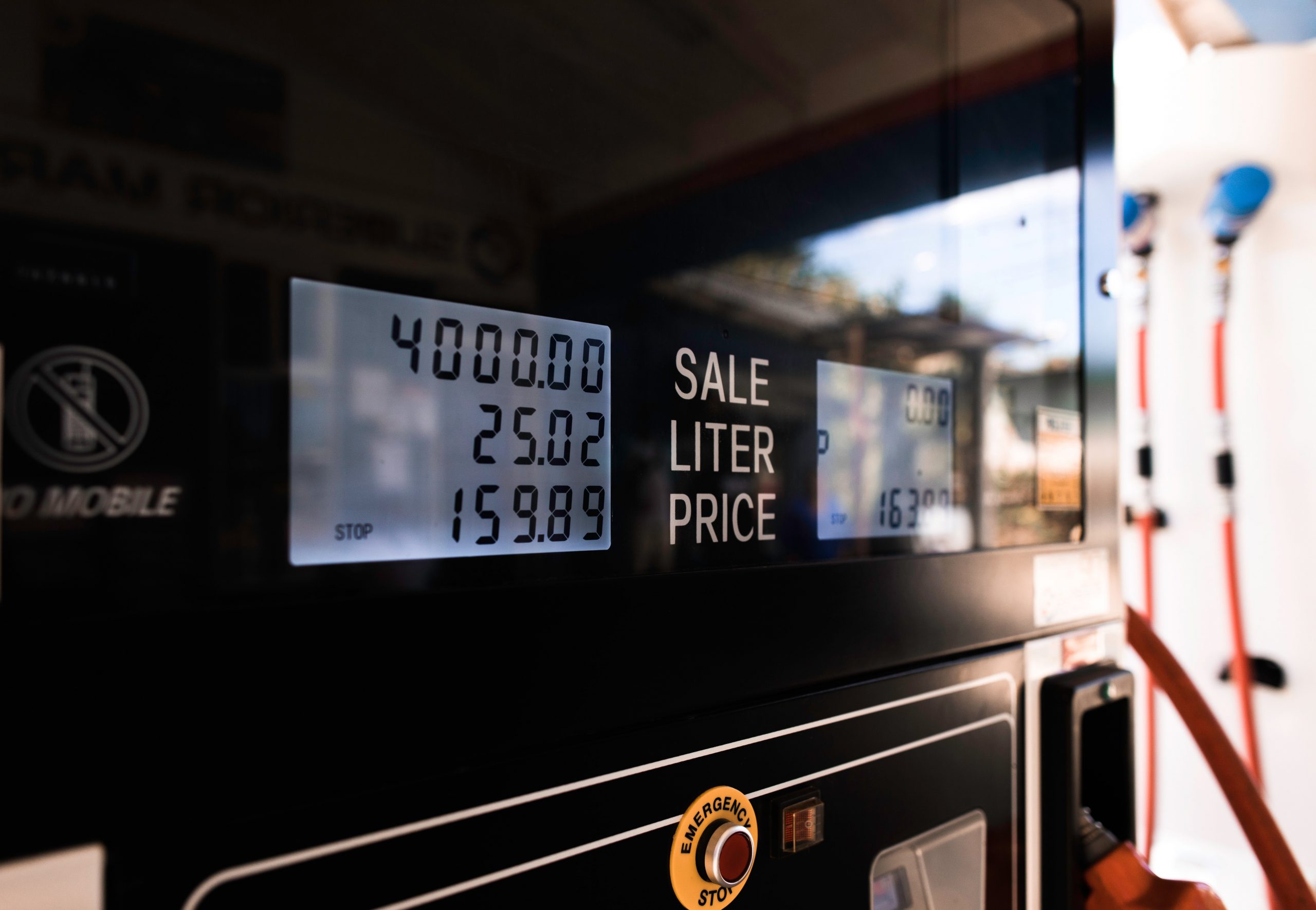 Continued support for the rise of renewables through more fossil fuel cuts. (Image: Unsplash)