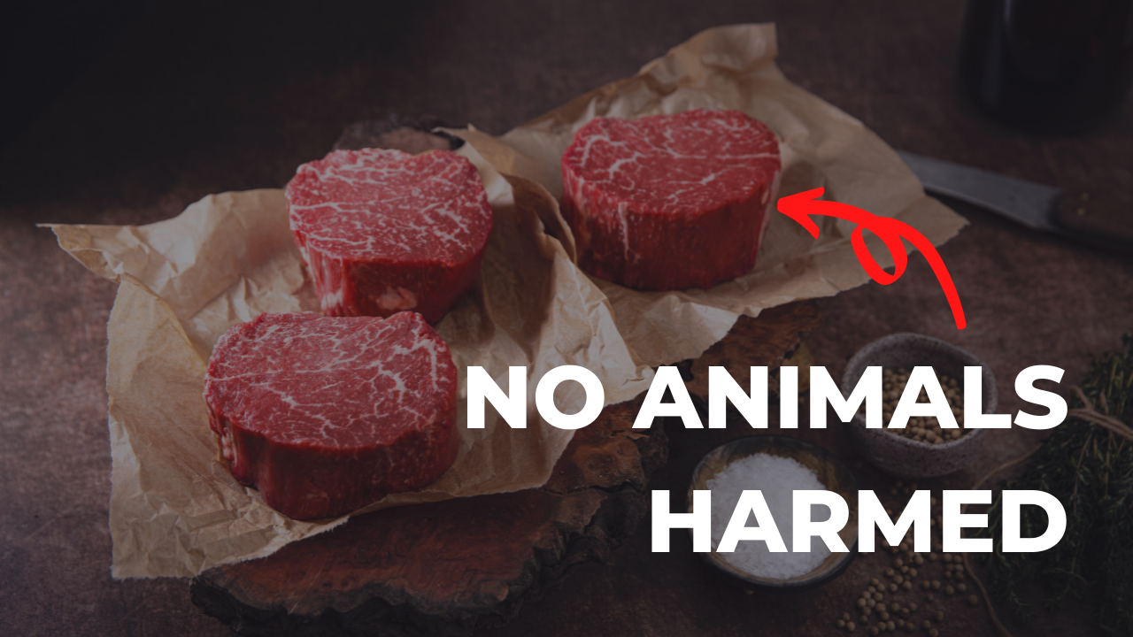 Lab Grown Meat Could Cut 1/3 Of Agriculture Emissions • Orbillion Bio