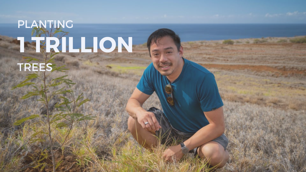 How Terraformation is enabling us to scale our reforestation efforts globally. (Image: Terraformation)