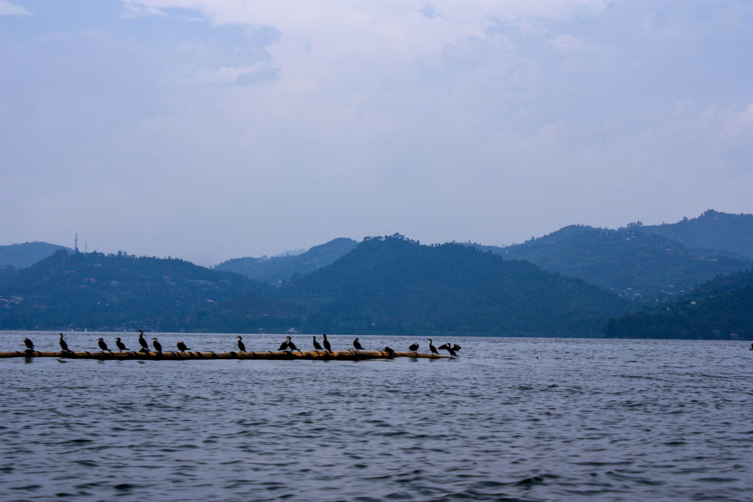 (Image: Unsplash)